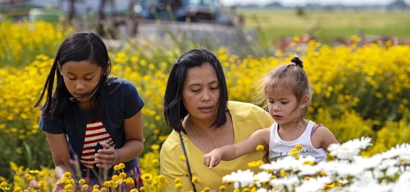Een vrouw en twee kinderen in een veld vol gele en witte bloemen
